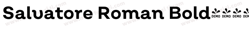 Salvatore Roman Bold字体转换